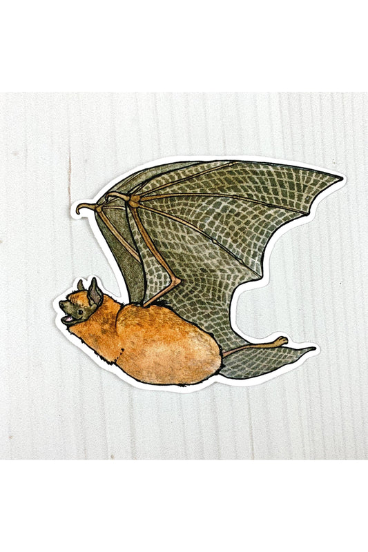Little Brown Bat Sticker