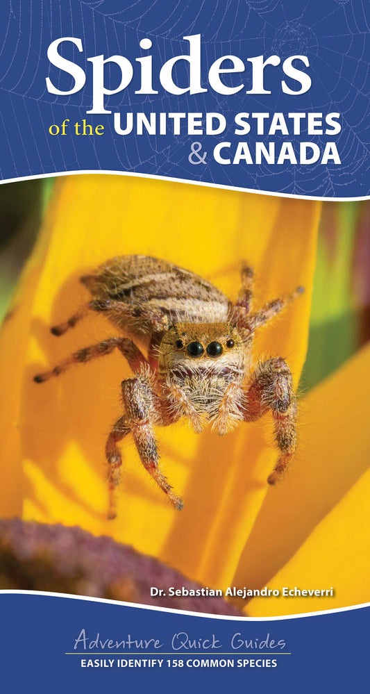 Spiders of the United States & Canada Quick Guide