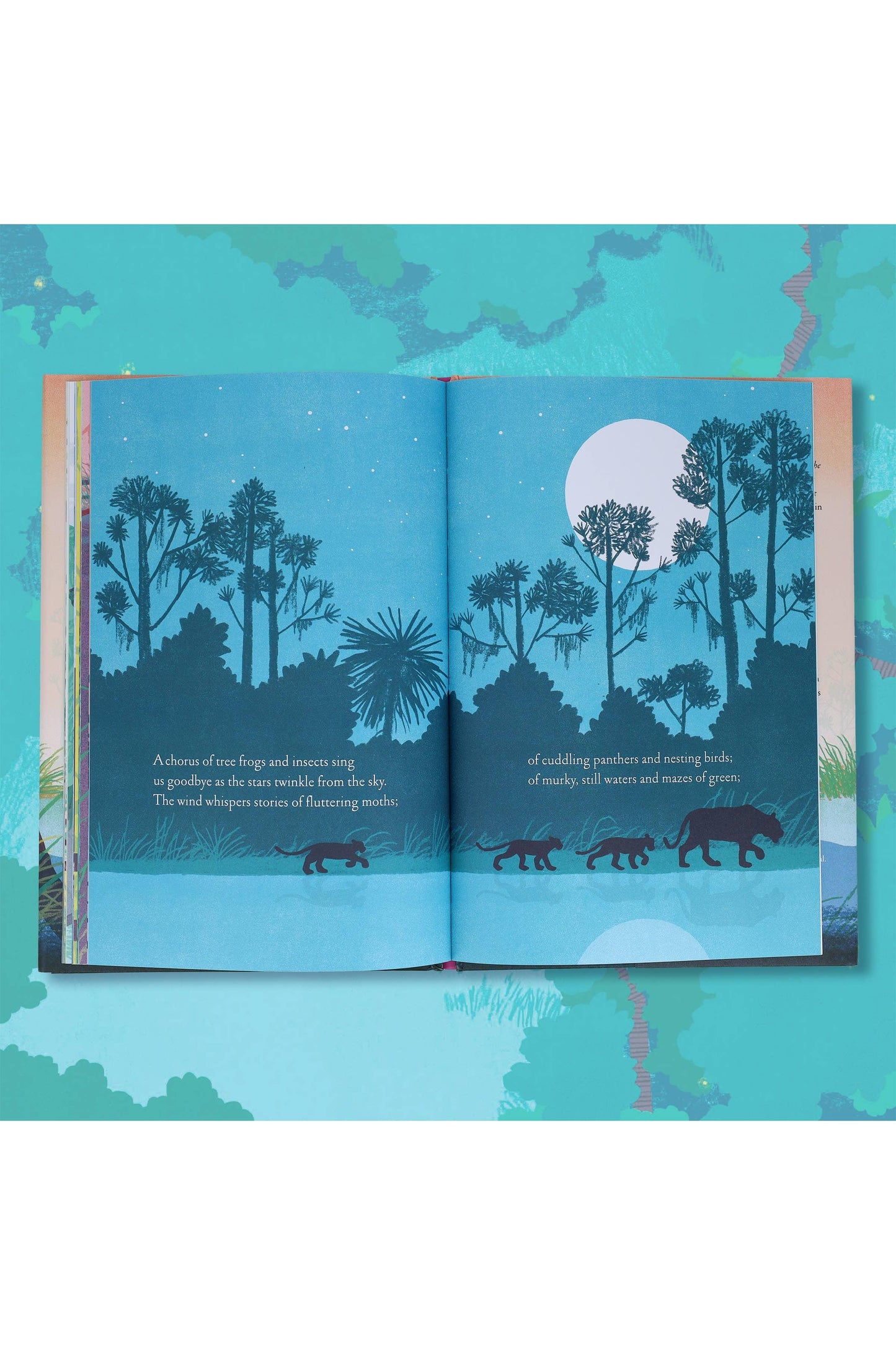 Over and Under the Wetland