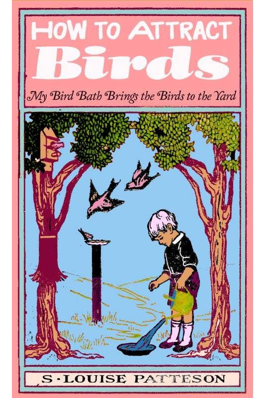 How to Attract Birds (Zine)