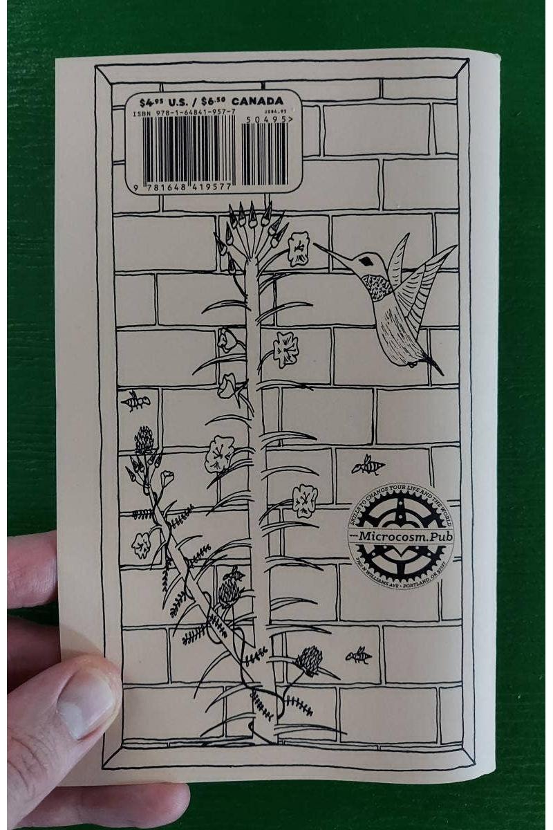 Urban Field Guide to the Herbs in Your Path (Zine)