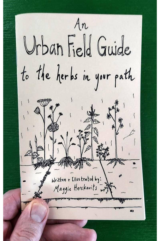 Urban Field Guide to the Herbs in Your Path (Zine)