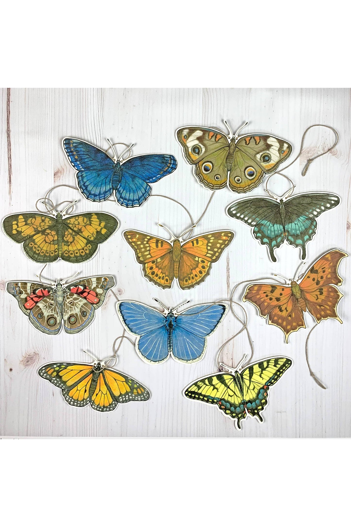 Eastern U.S. Native Butterfly Illustrated Garland