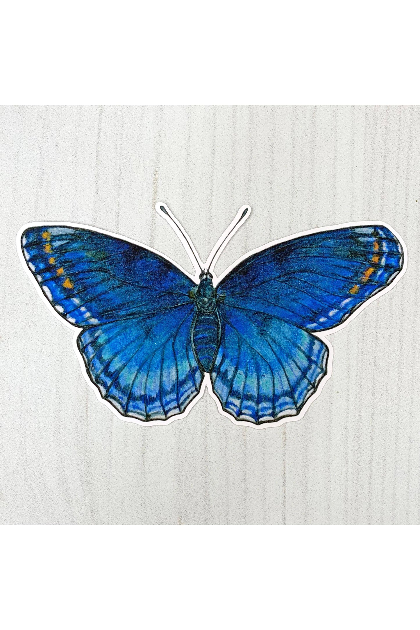 Red Spotted Purple Butterfly Sticker