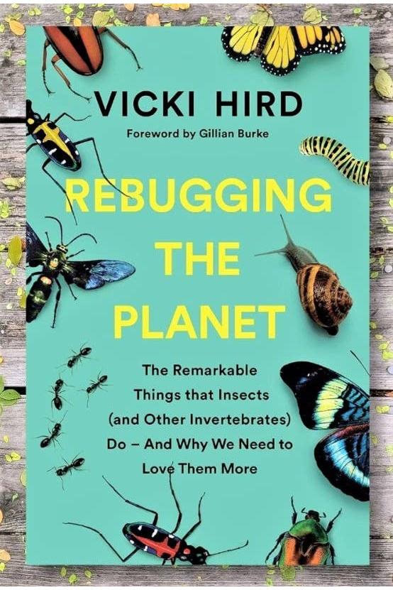 Rebugging the Planet: Why We Need to Love Insects More