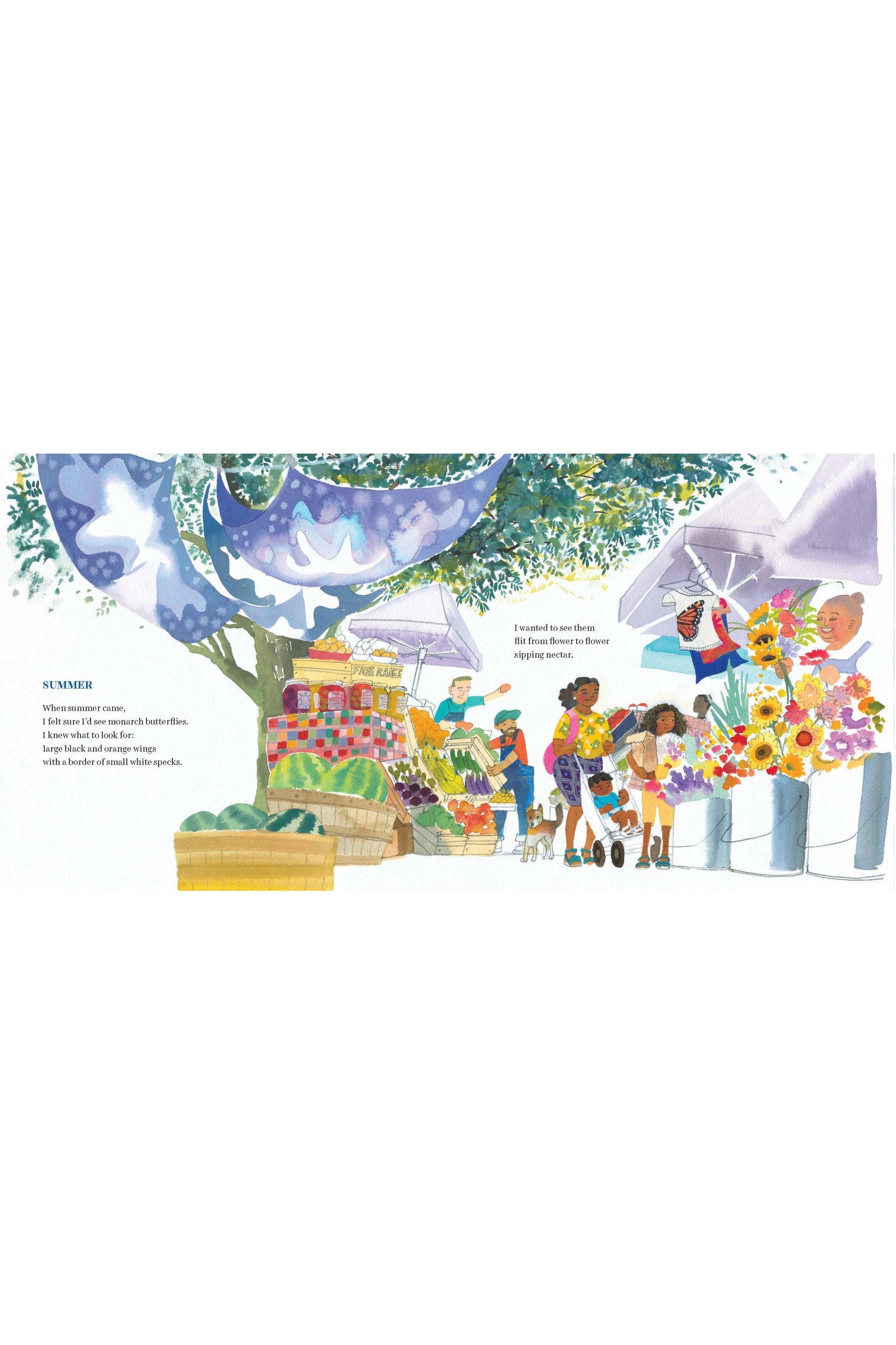 Butterflies Belong Here