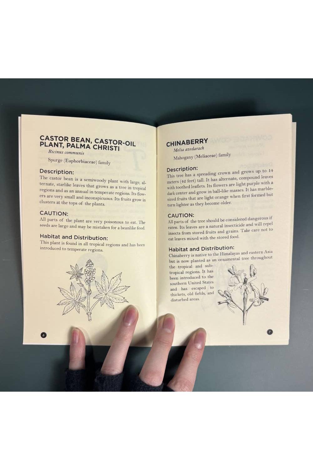 Poisonous Plants & How to Spot Them (Zine)