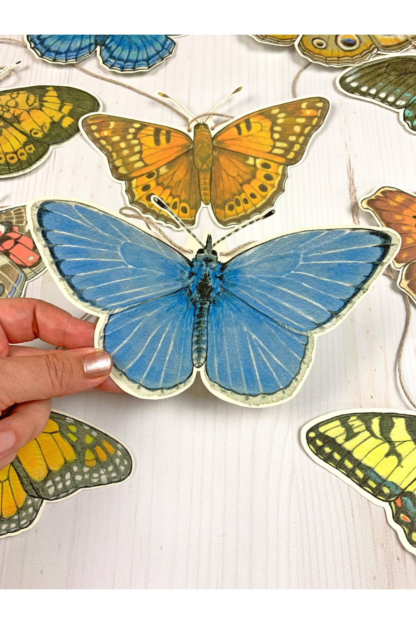Eastern U.S. Native Butterfly Illustrated Garland