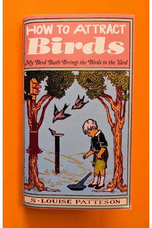 How to Attract Birds (Zine)