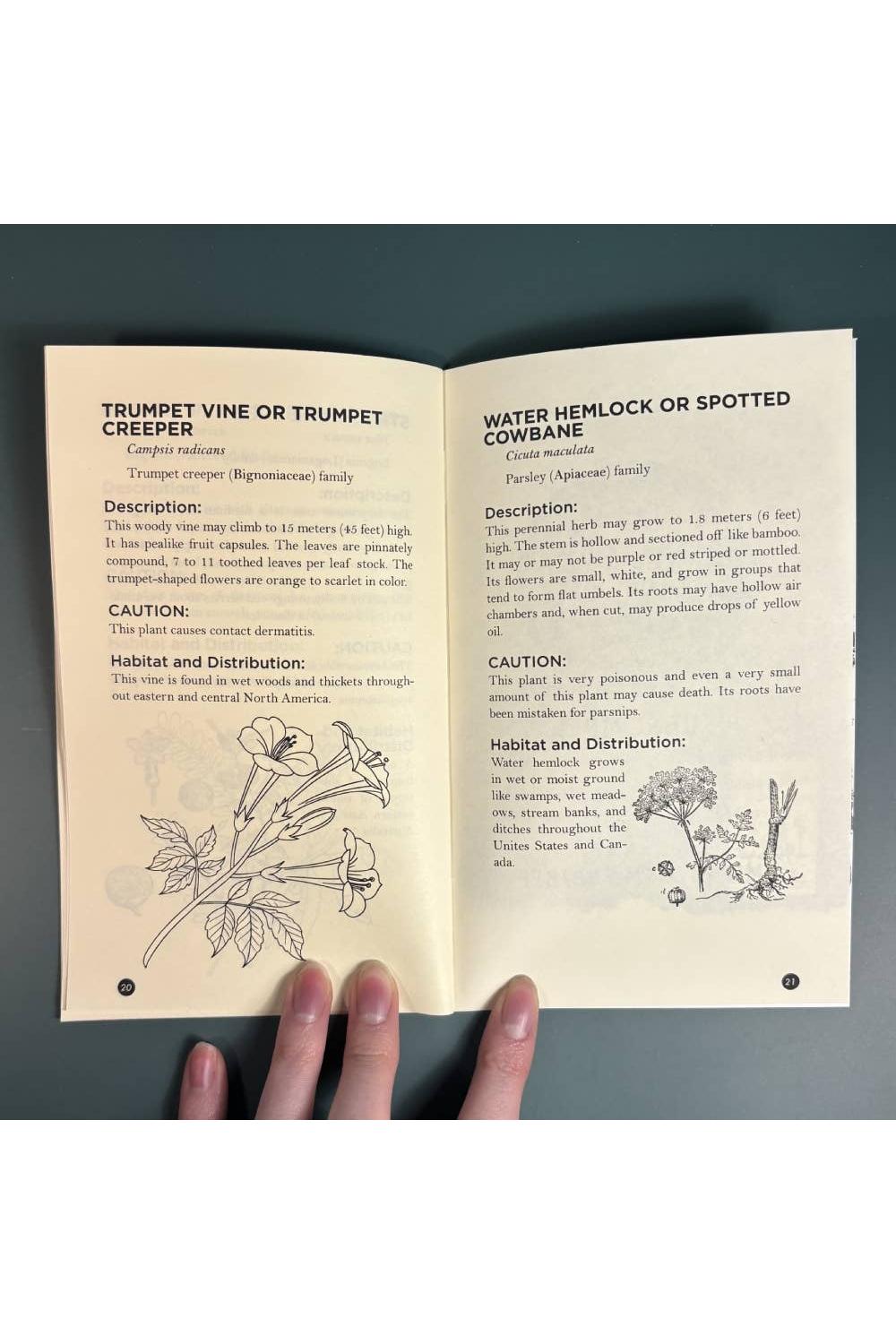 Poisonous Plants & How to Spot Them (Zine)