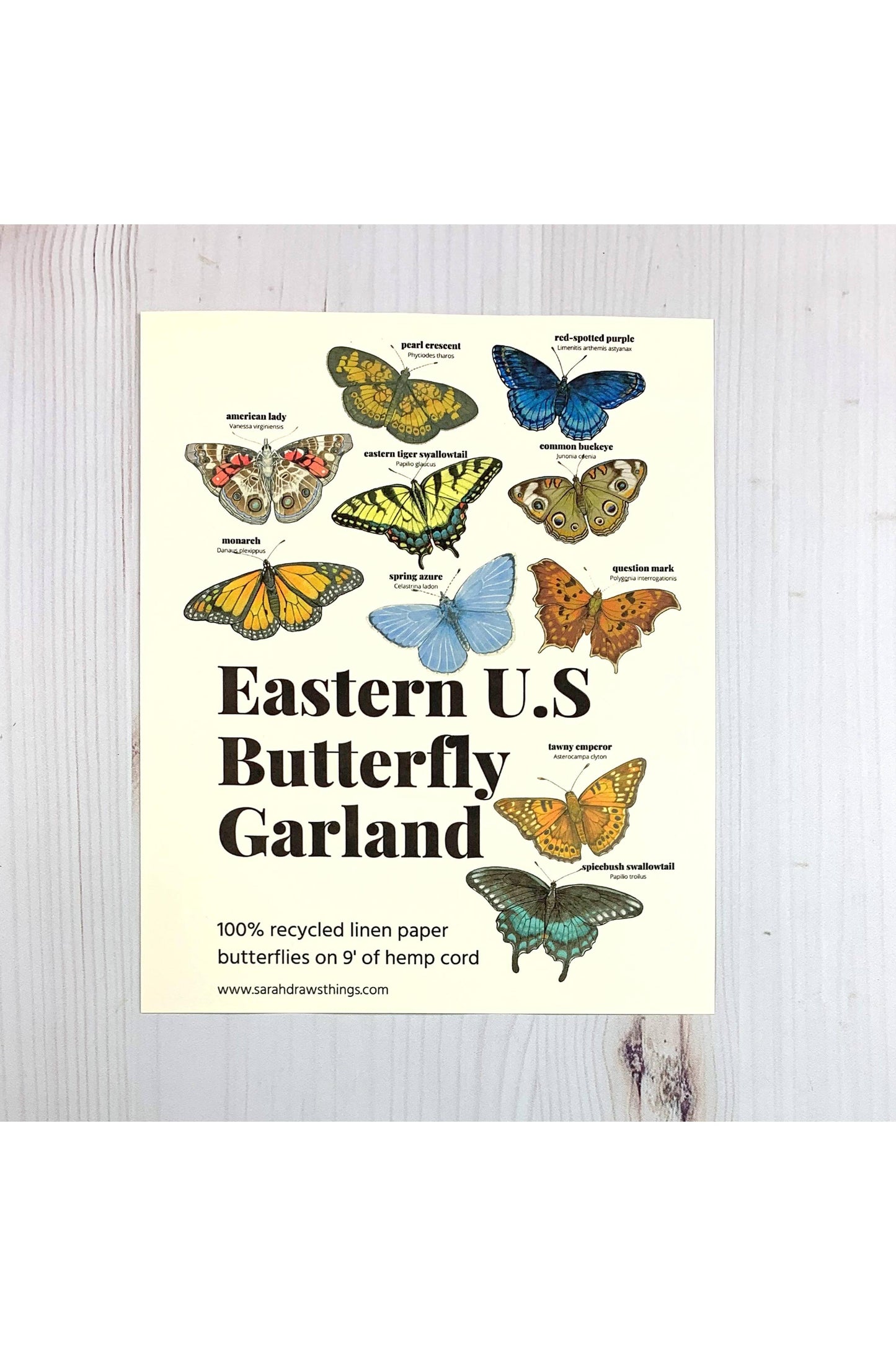 Eastern U.S. Native Butterfly Illustrated Garland