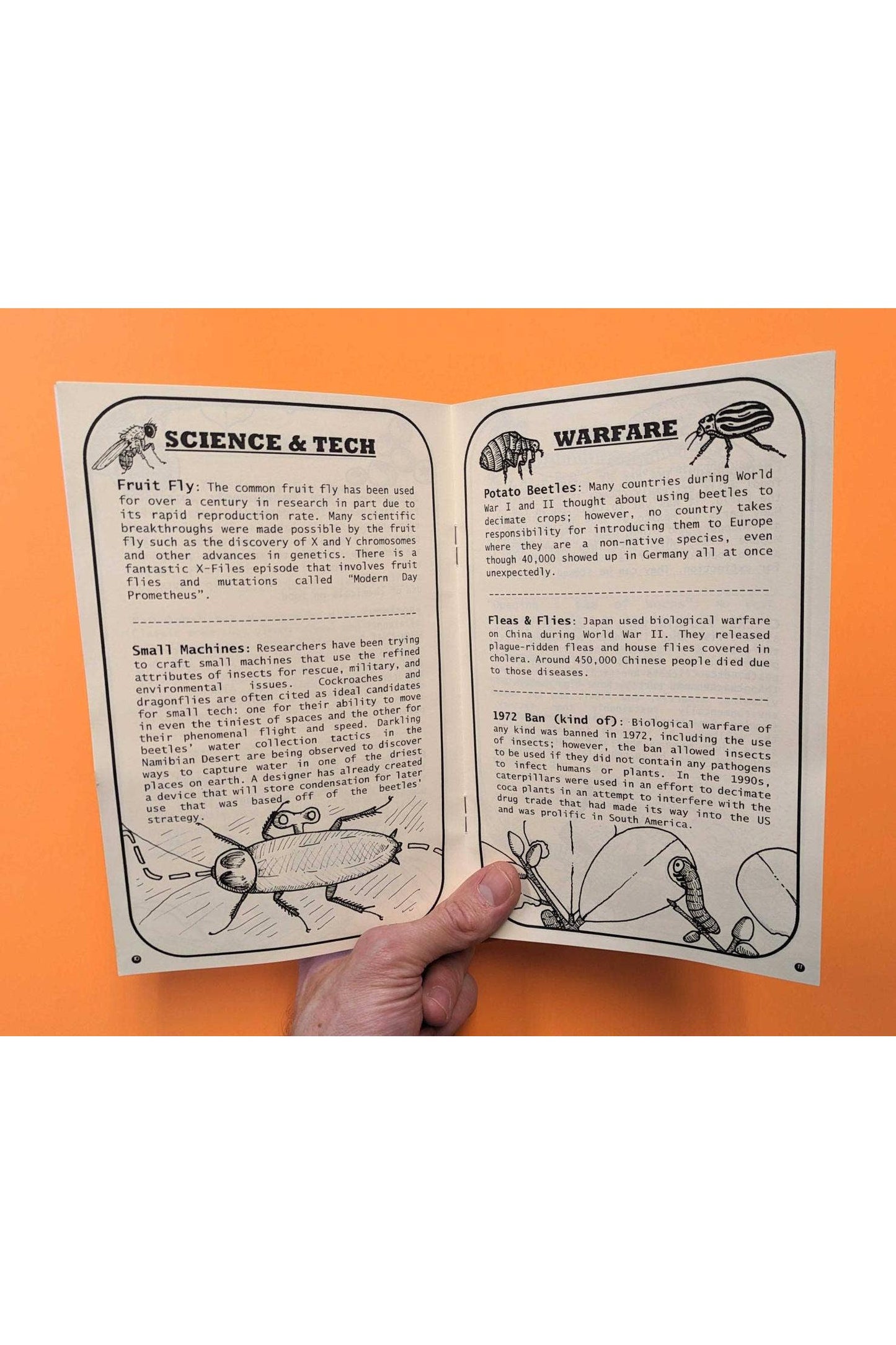 Bugs in Culture: From Folklore to World War (Zine)
