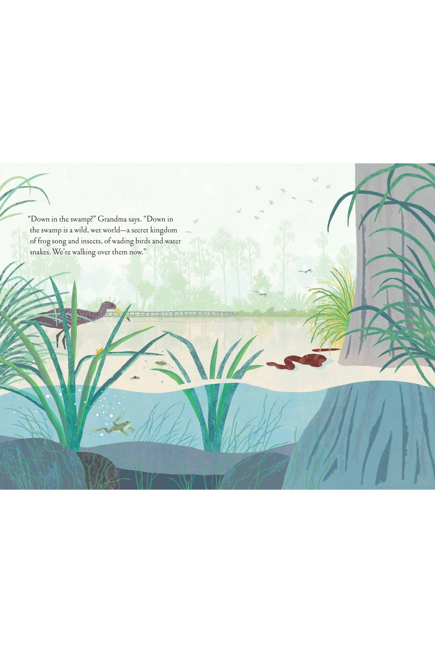 Over and Under the Wetland