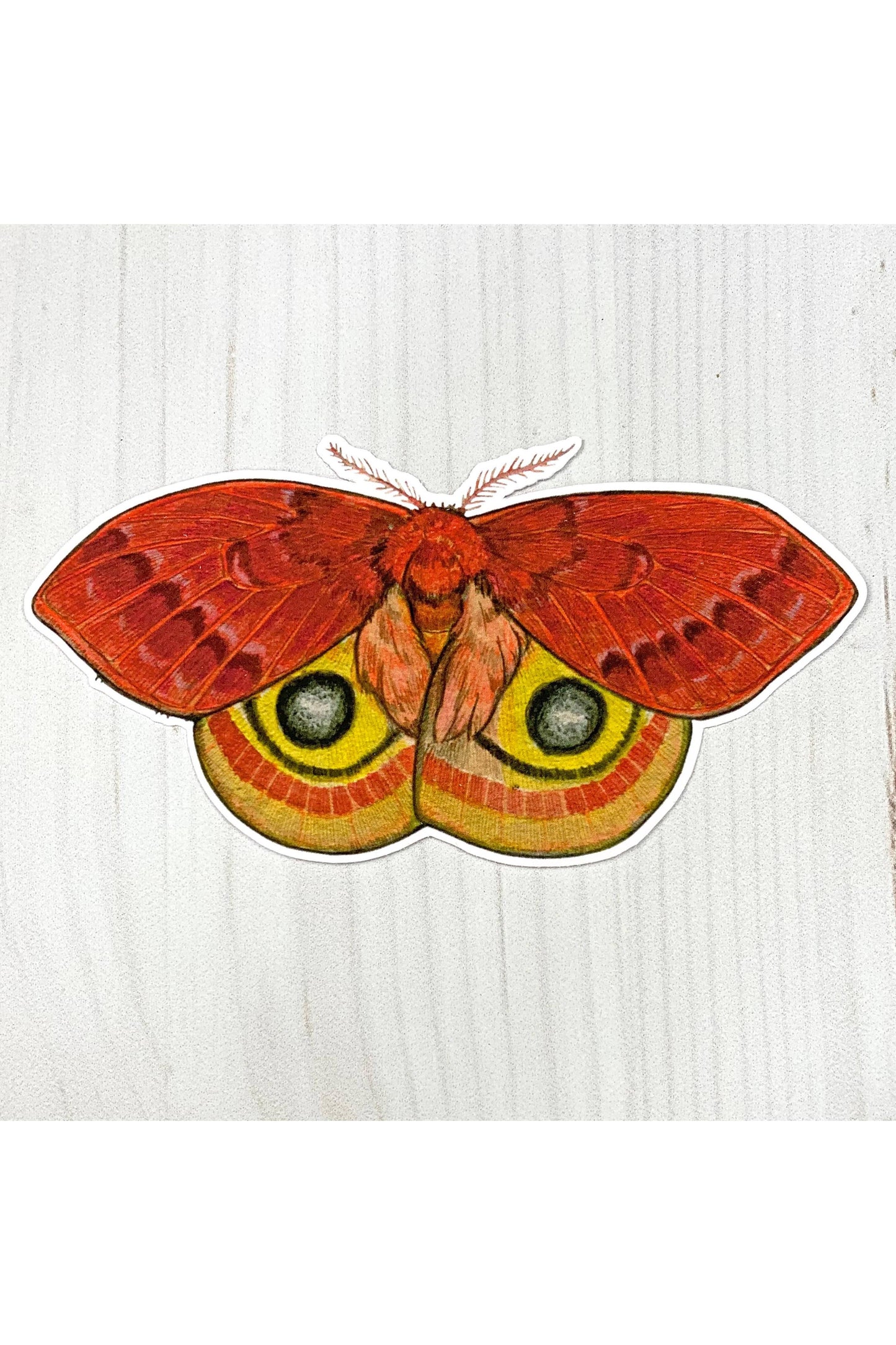 Io Moth Matte Sticker