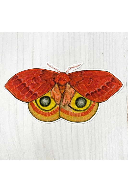 Io Moth Matte Sticker
