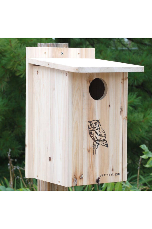 Premium Screech Owl / Kestrel House