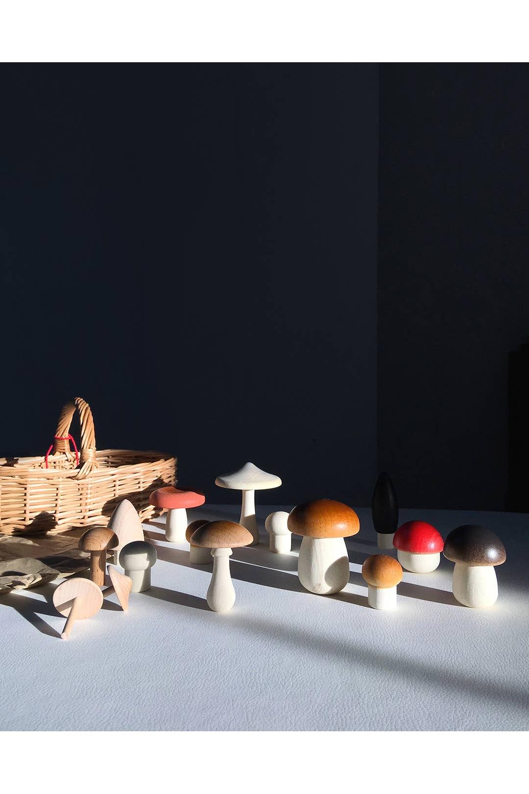 Forest Mushrooms Basket