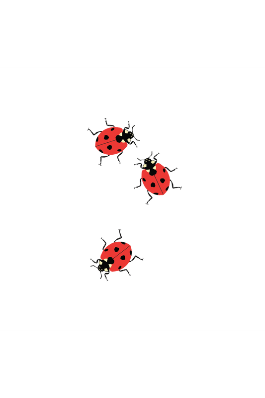 Ladybugs Tattoo Pair