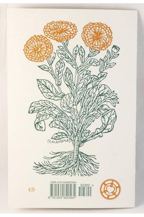 Herbal First Aid: Assembling a Natural First Aid Kit (Zine)