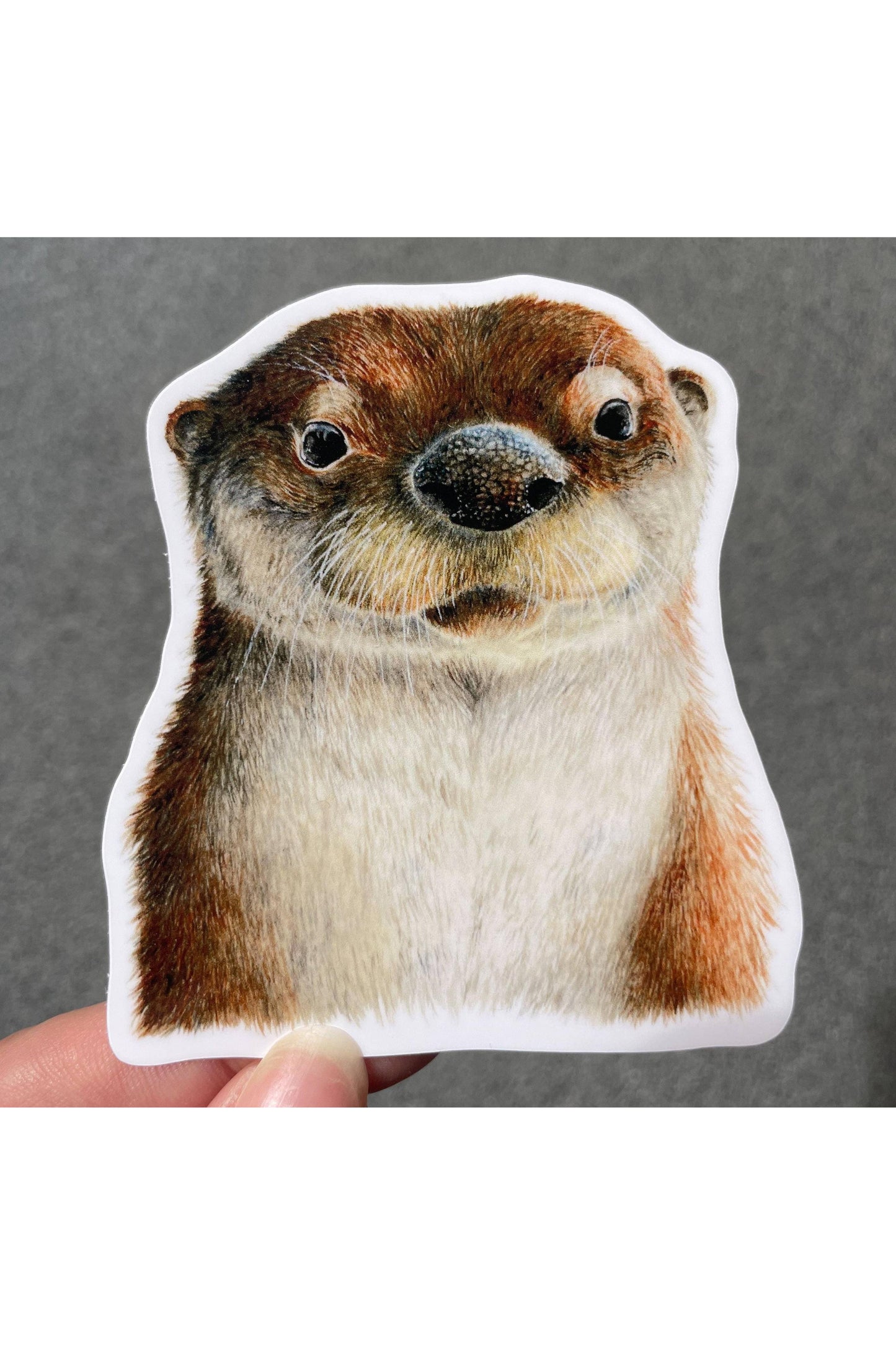 River Otter Portrait Waterproof Sticker
