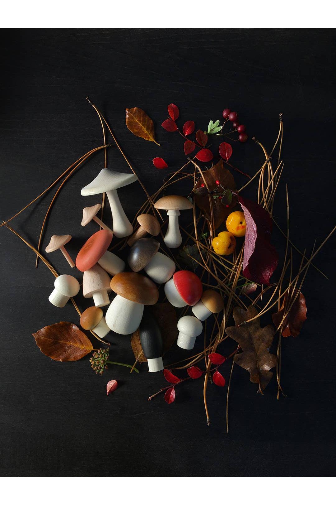 Forest Mushrooms Basket