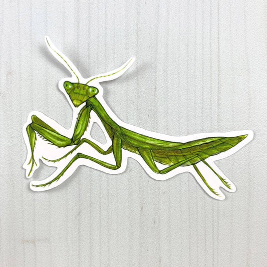 Praying Mantis Matte Sticker