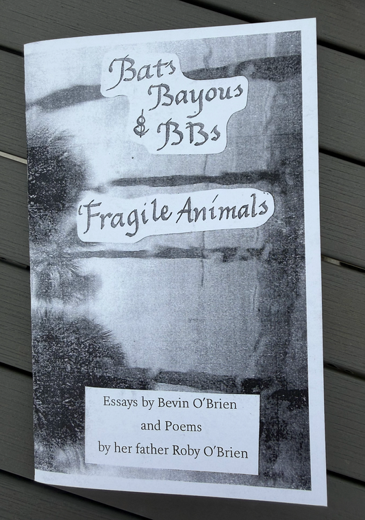 Bats, Bayous and BBs (Zine)