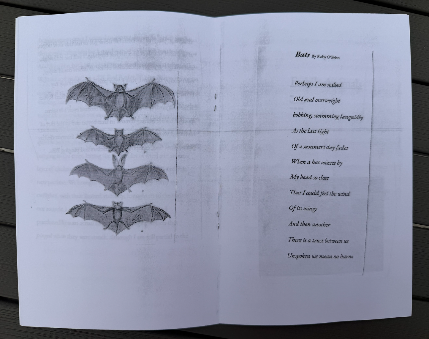 Bats, Bayous and BBs (Zine)
