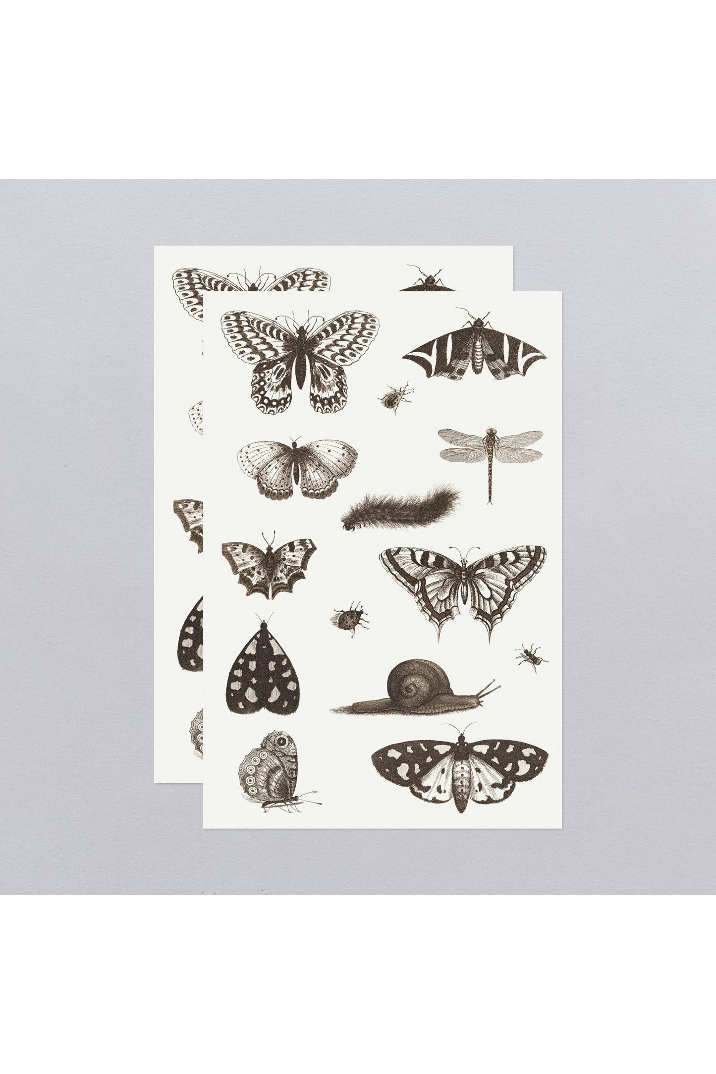 NGA Insects Tattoo Sheet
