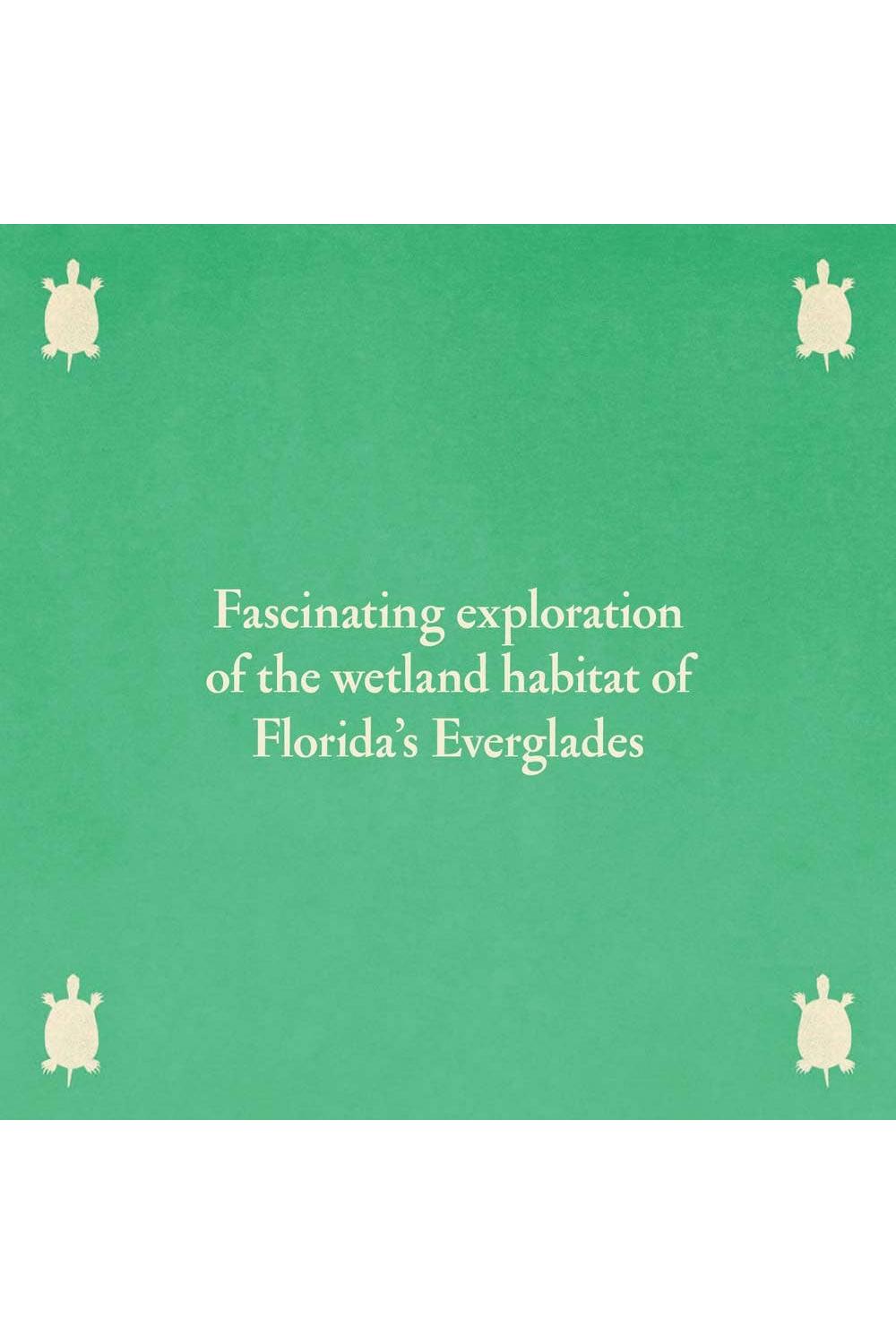 Over and Under the Wetland