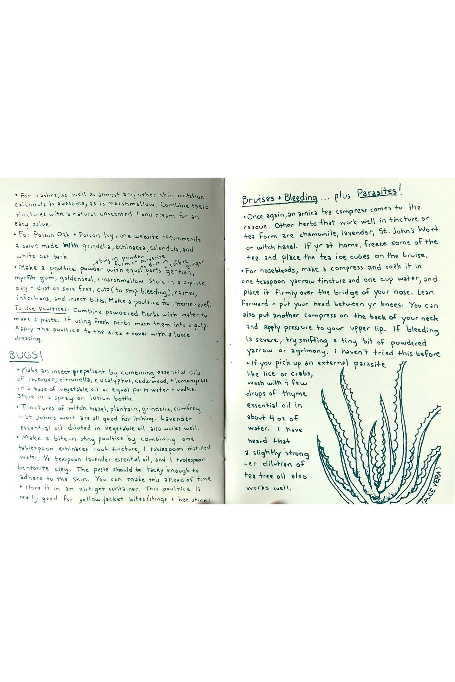 Herbal First Aid: Assembling a Natural First Aid Kit (Zine)