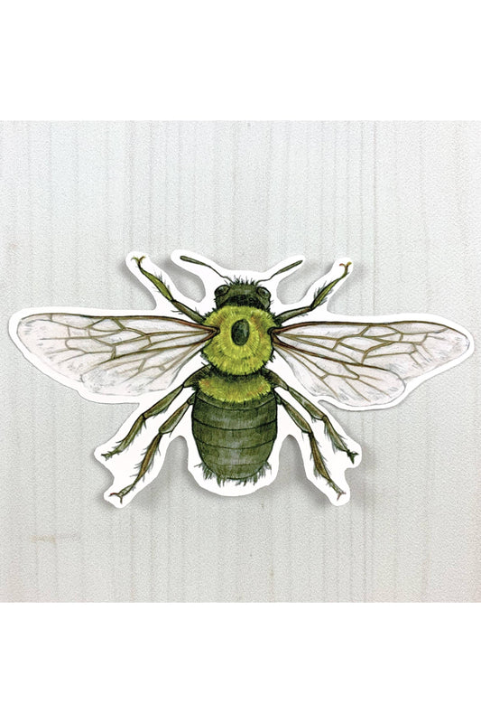 Eastern Carpenter Bee Vinyl Sticker