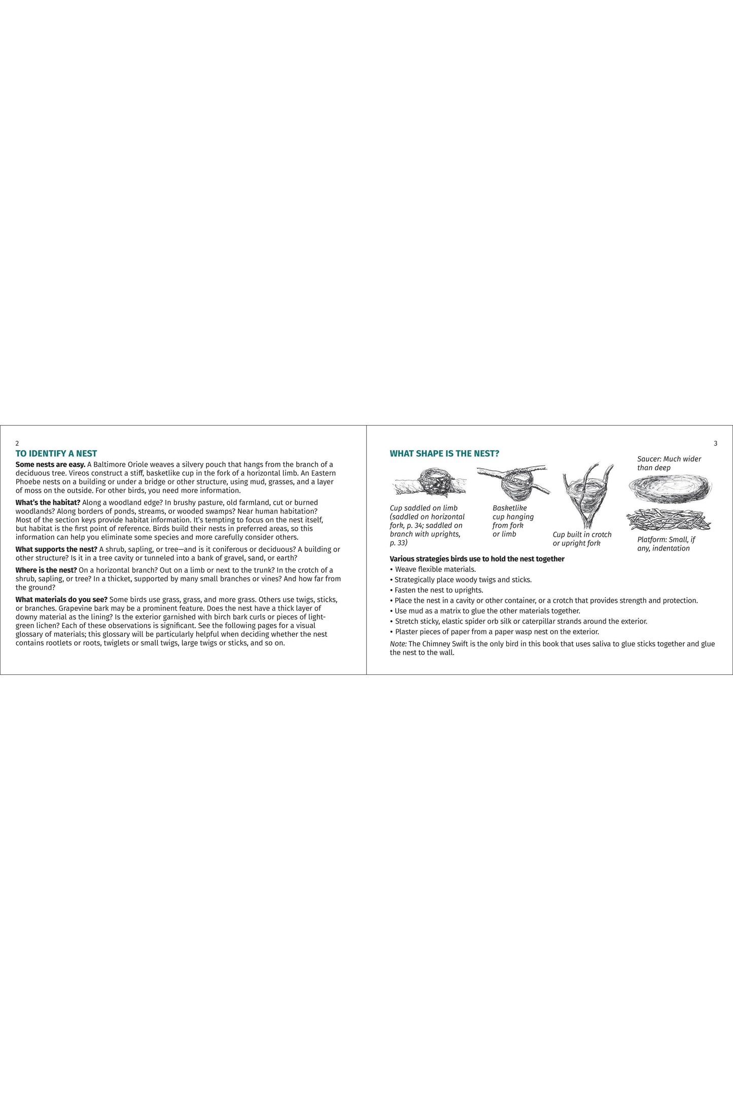 Bird Nest Finder