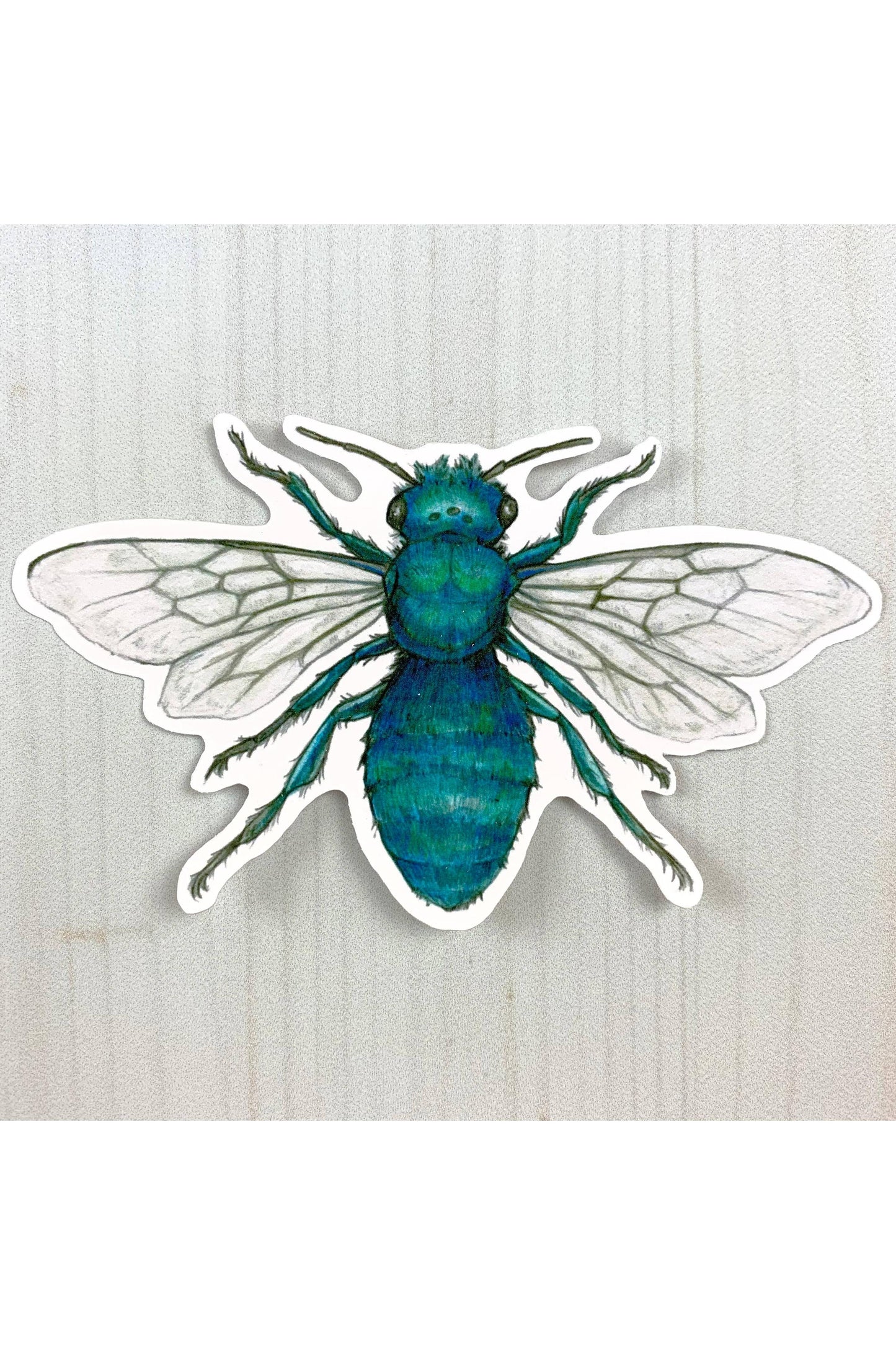Blue Orchard Mason Bee Sticker