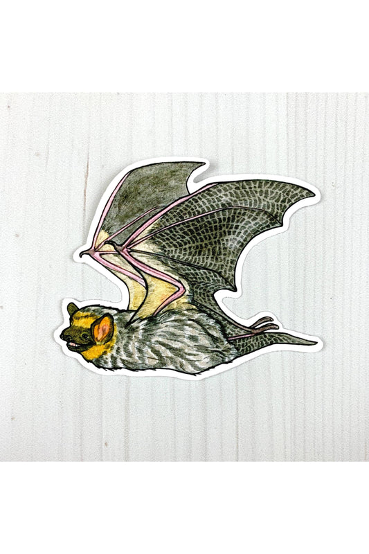 Hoary Bat Sticker