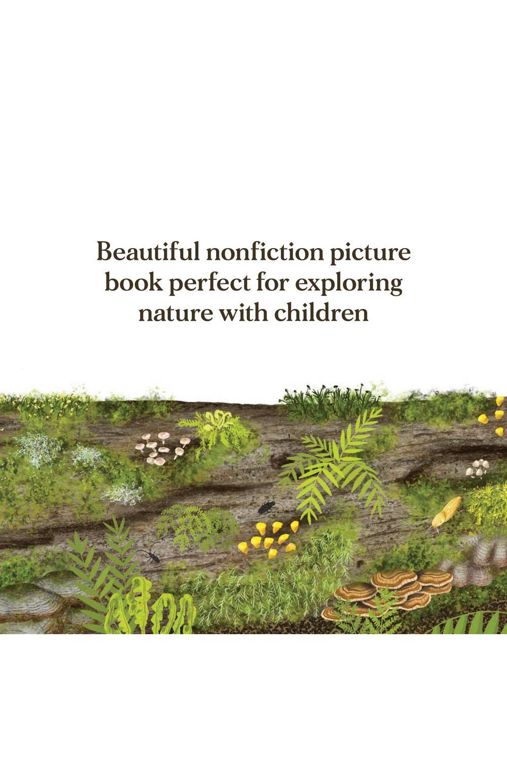 When a Tree Falls: Nurse Logs and Their Incredible Forest Power