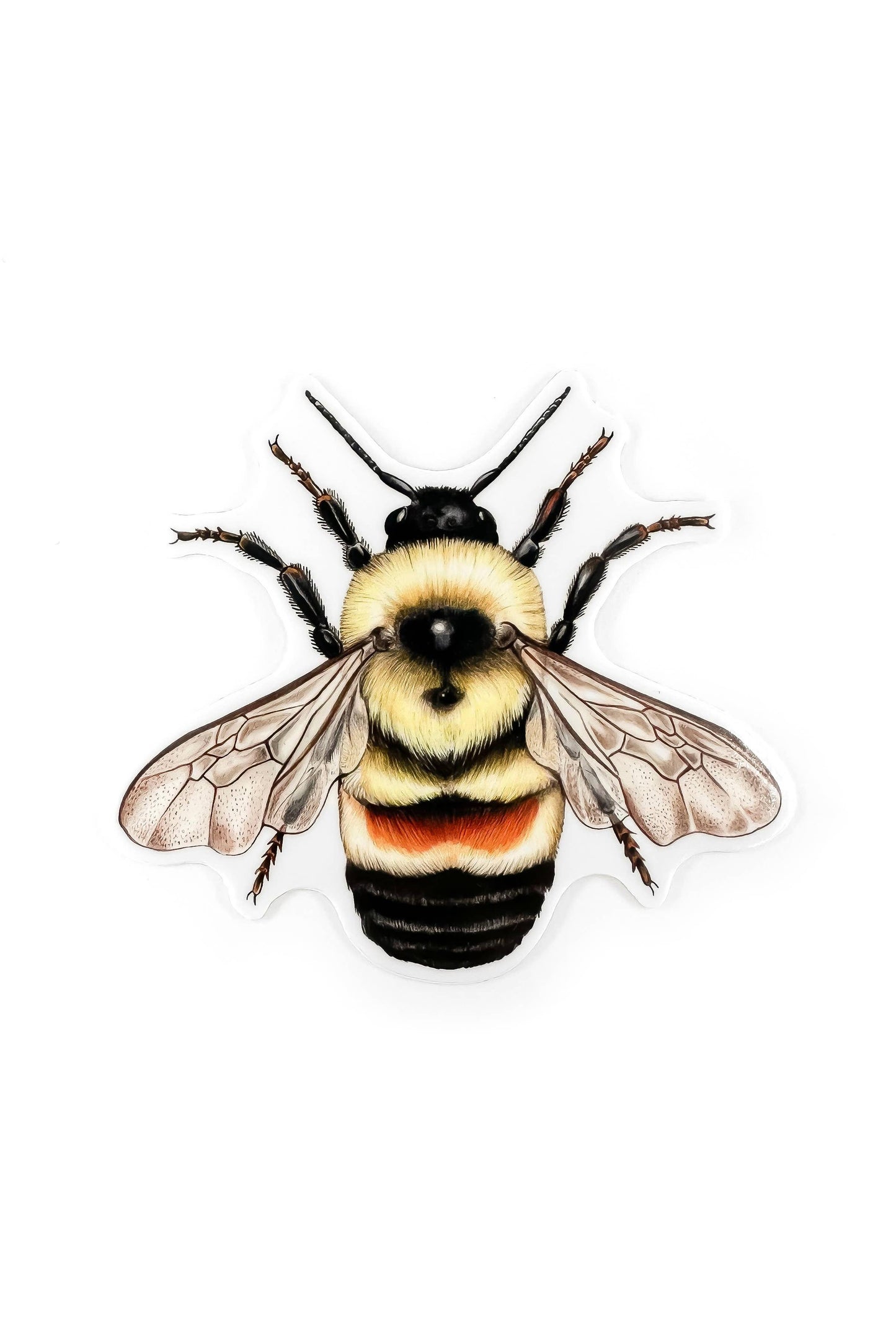 Rusty Patched Bumblebee Sticker