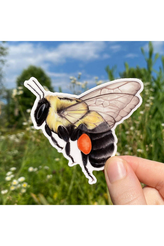 Common Eastern Bumble Bee Sticker