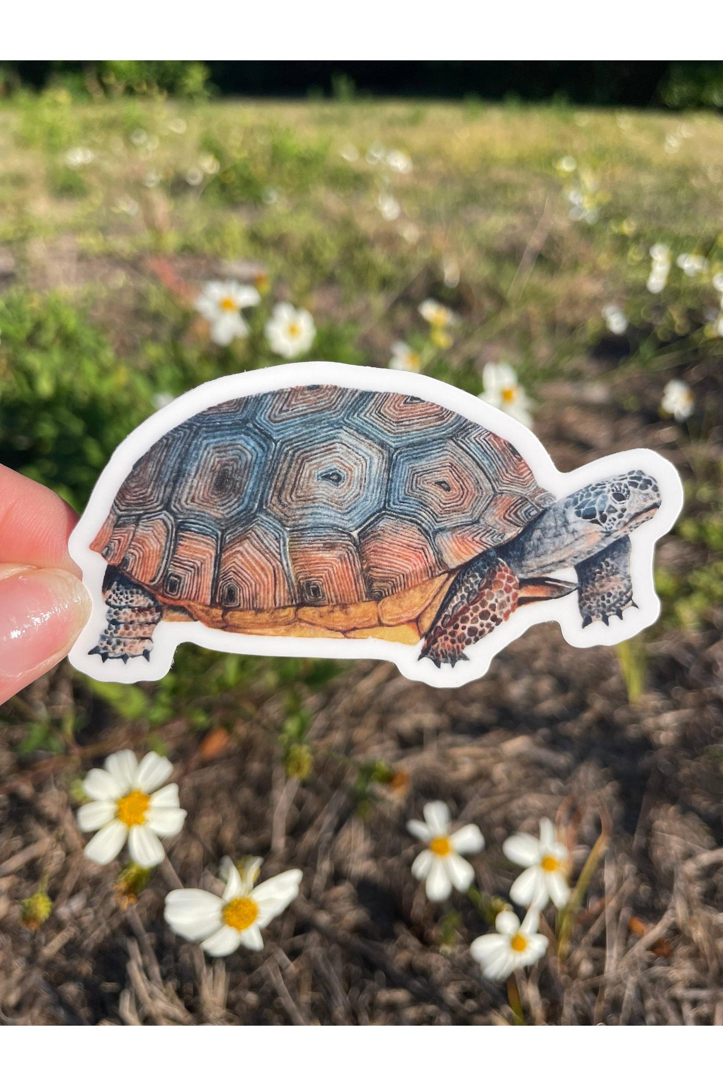 Gopher Tortoise Waterproof Sticker
