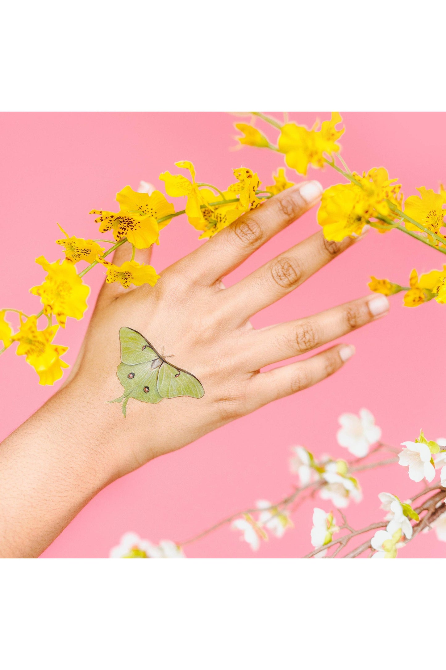 Tiny Butterfly Tattoo Tin