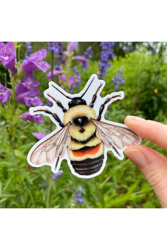 Rusty Patched Bumblebee Sticker