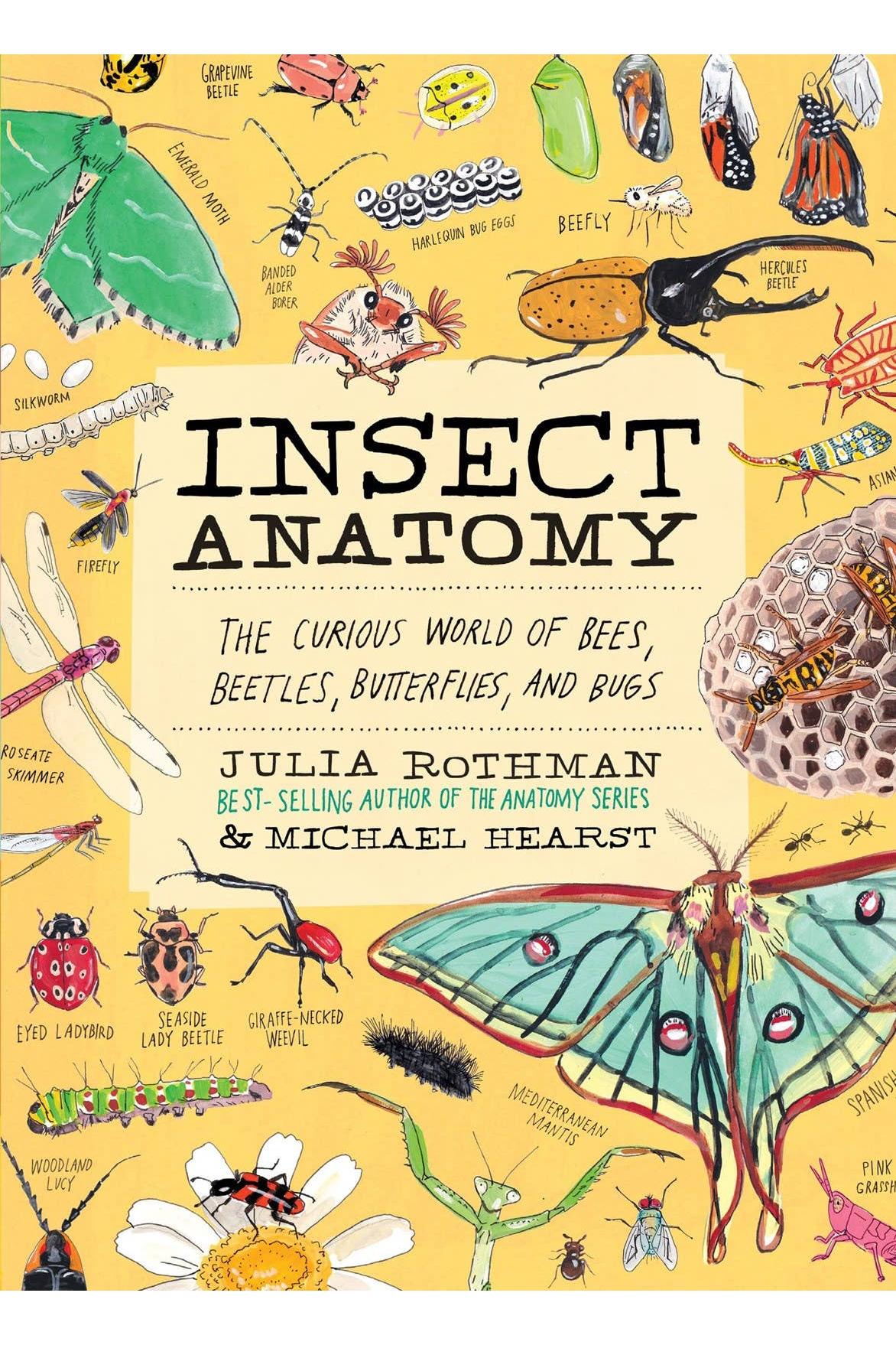 Insect Anatomy: The Curious World of Bees, Beetles, Butterflies, and Bugs