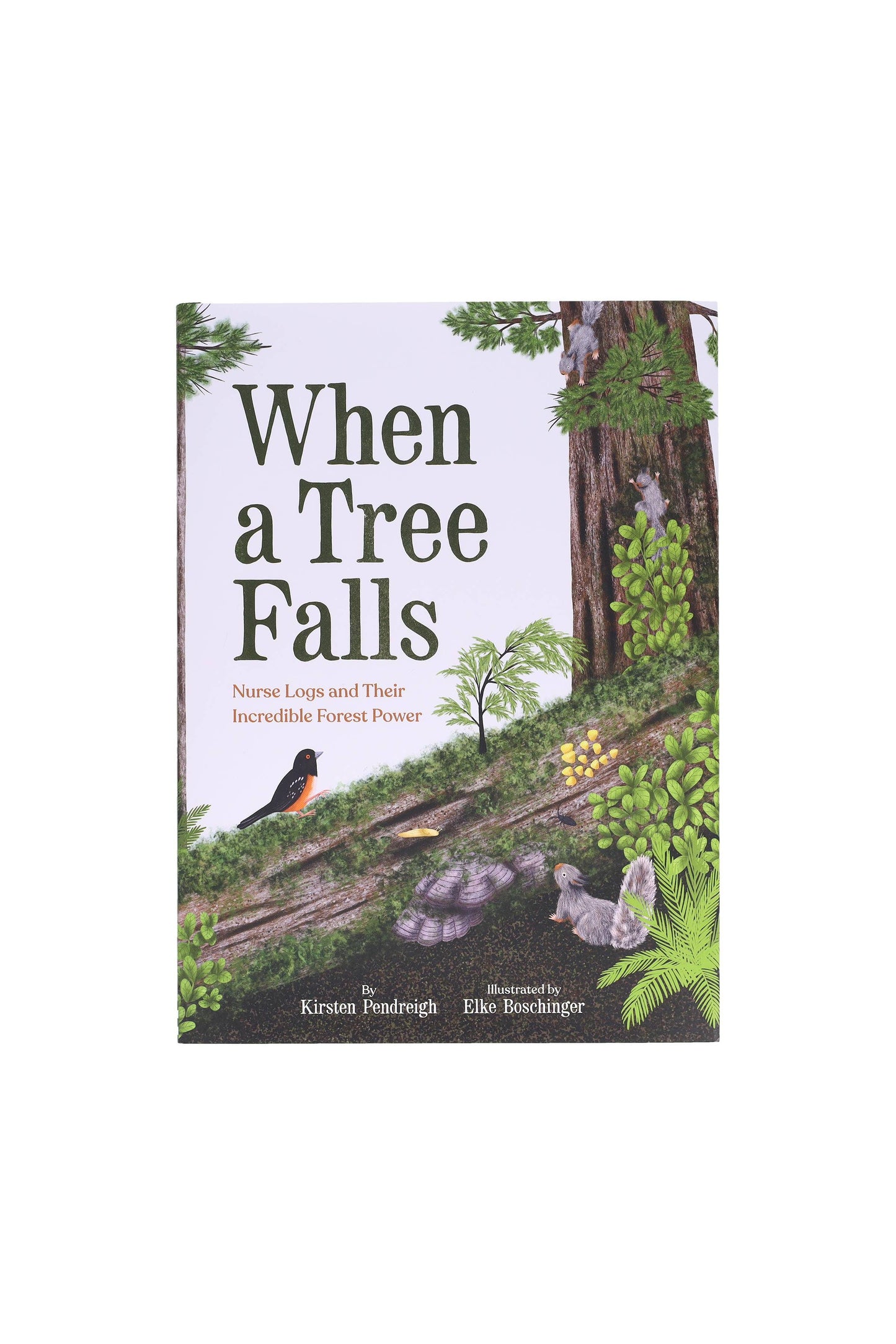 When a Tree Falls: Nurse Logs and Their Incredible Forest Power