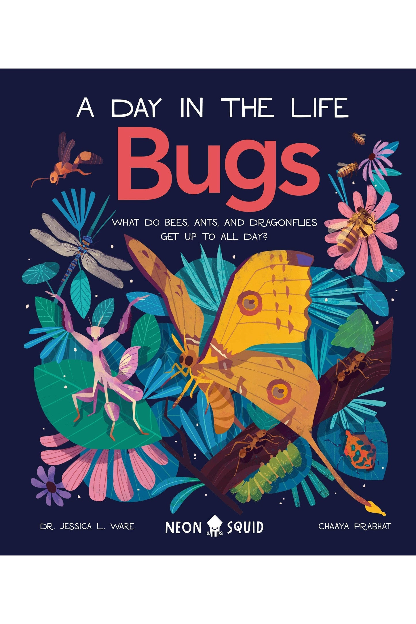 Bugs (A Day in the Life): What Do Bees, Ants, and Dragonflies Get up to All Day?
