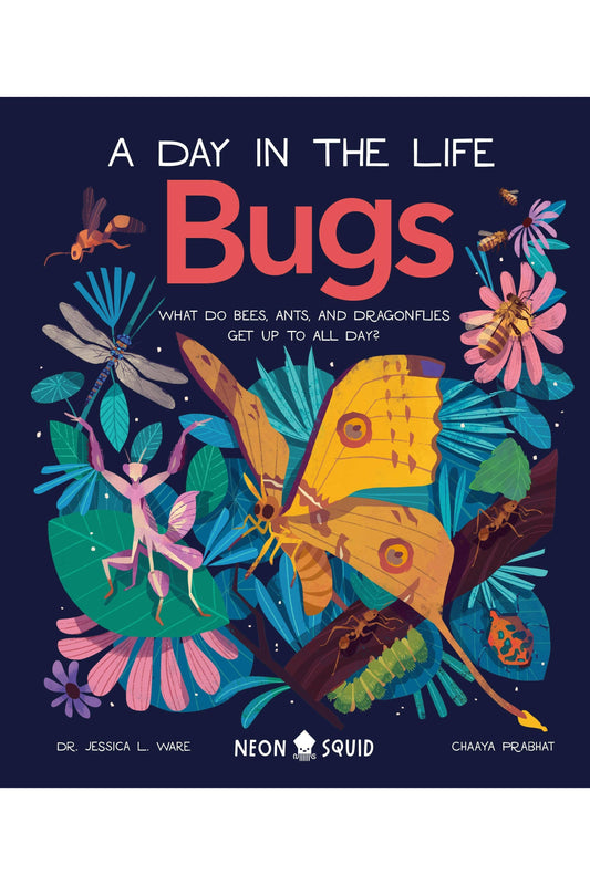 Bugs (A Day in the Life): What Do Bees, Ants, and Dragonflies Get up to All Day?