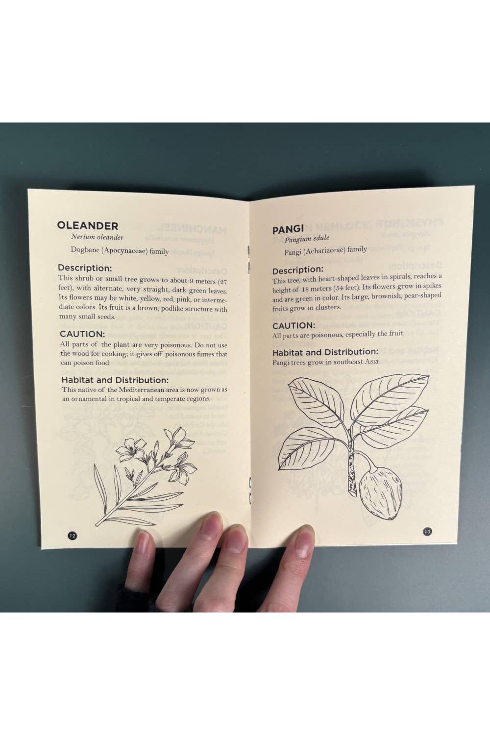 Poisonous Plants & How to Spot Them (Zine)