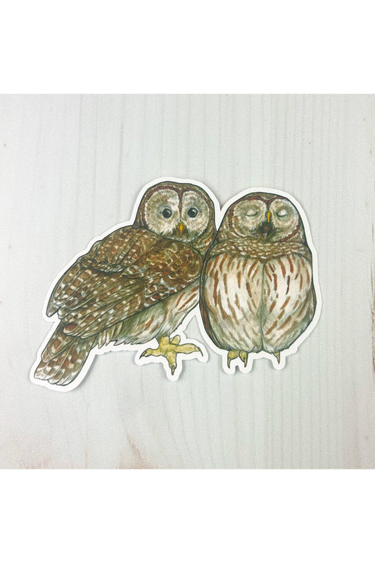 Barred Owls Sticker
