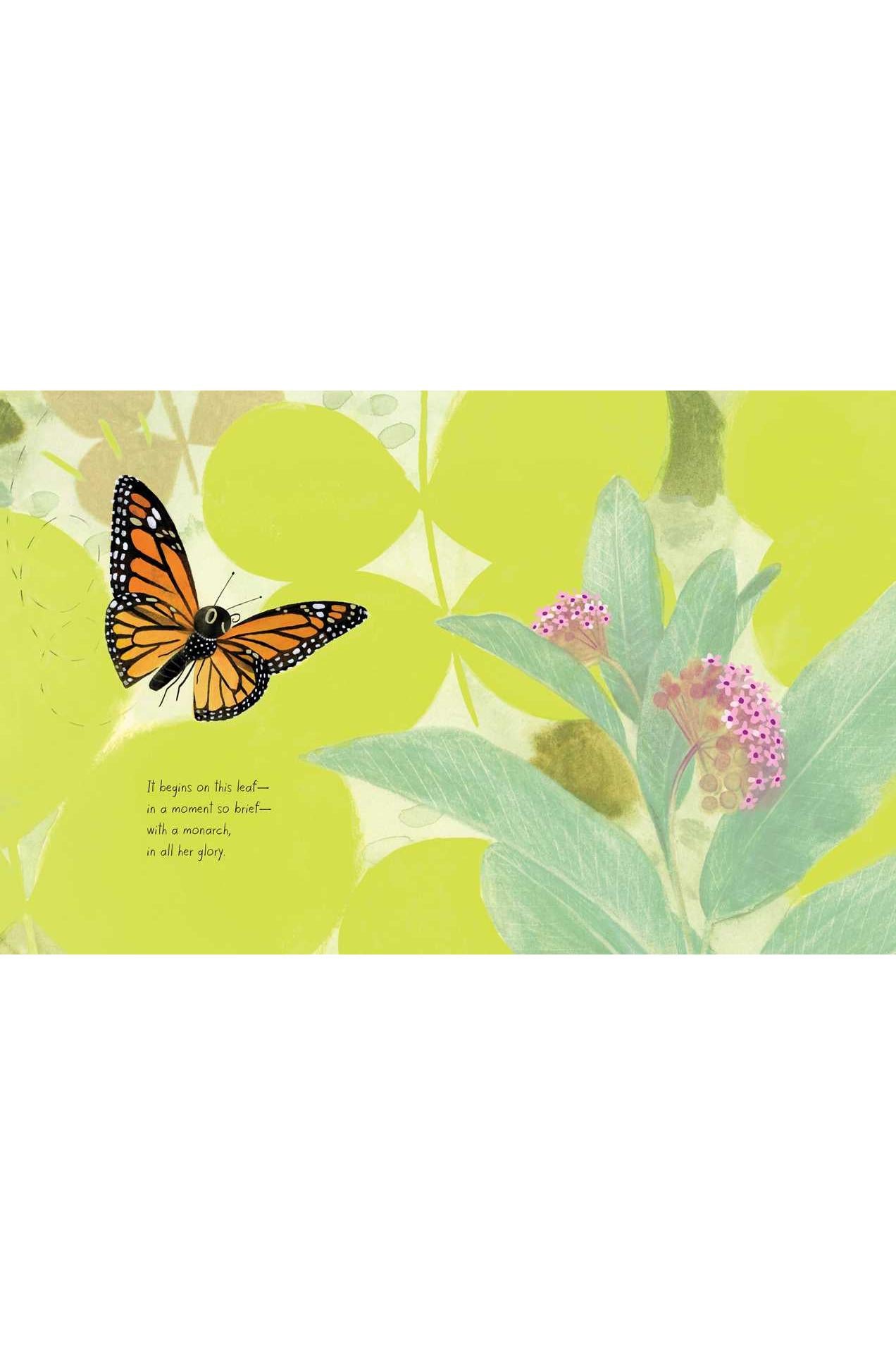 Monarch
