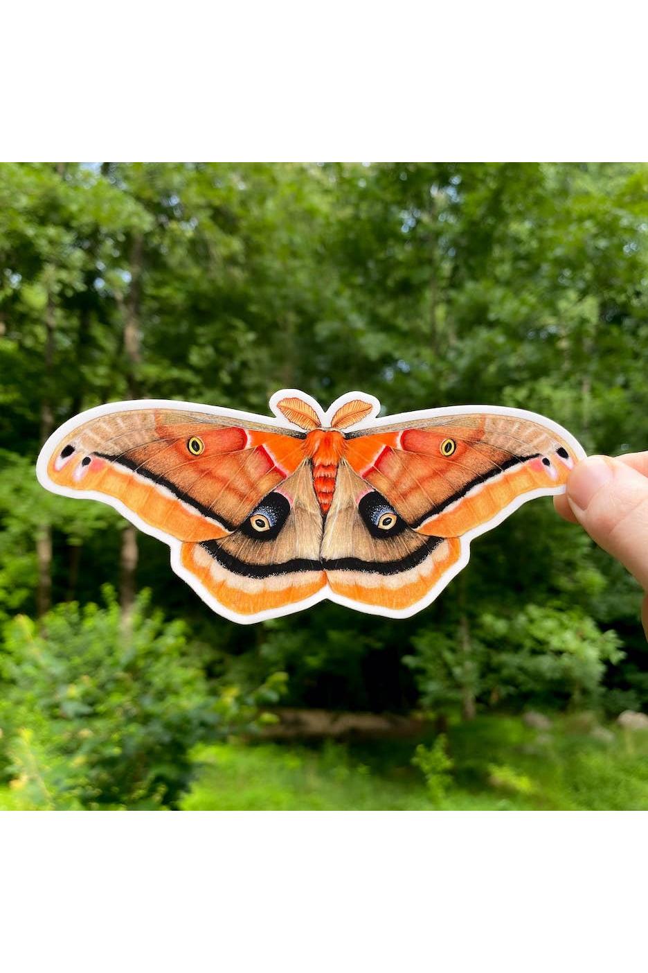 Polyphemus Moth Sticker