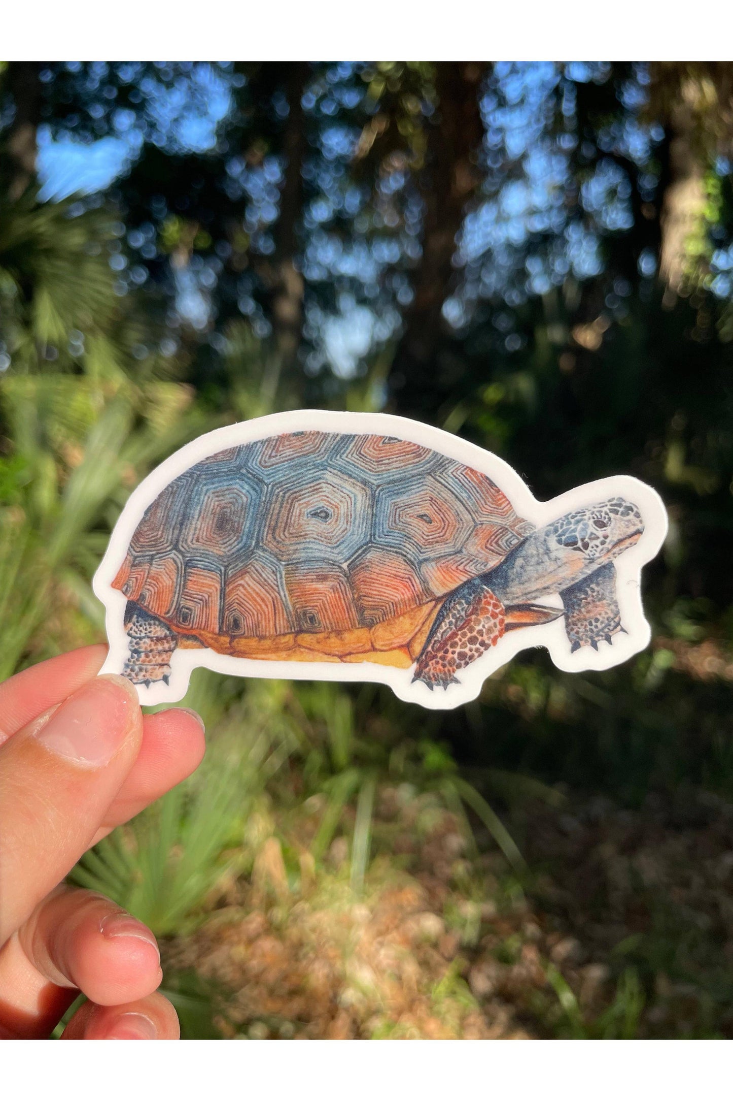 Gopher Tortoise Waterproof Sticker